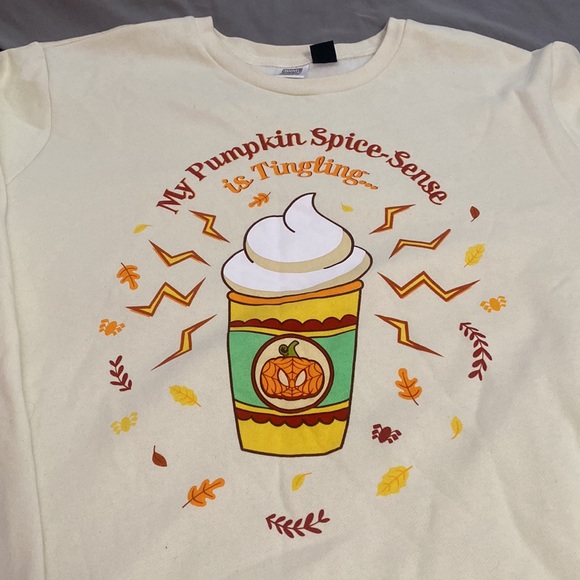 Pumpkin spice crewneck - Picture 2 of 5